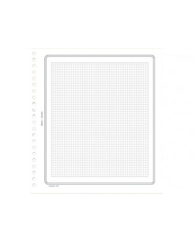 Più - modello Q